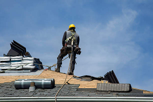 Professional Roof Repair technician working in Lacona, IA